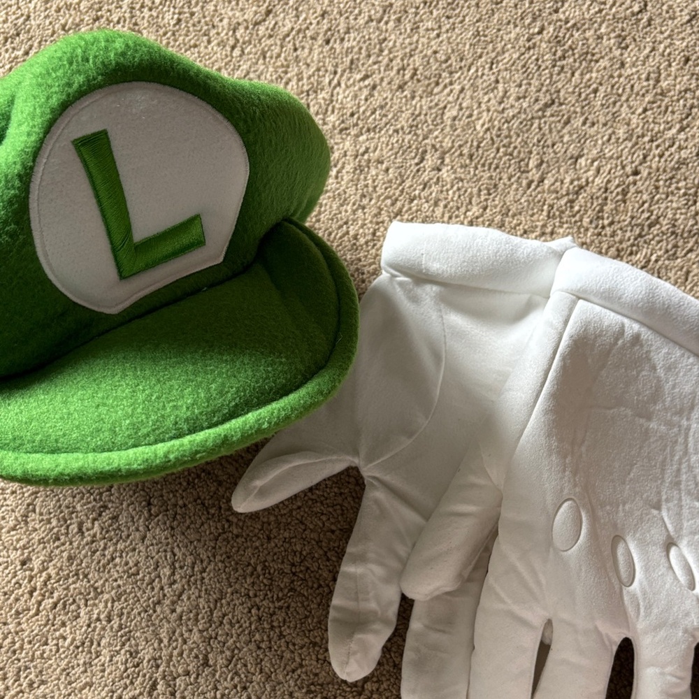 Mens Luigi Costume
